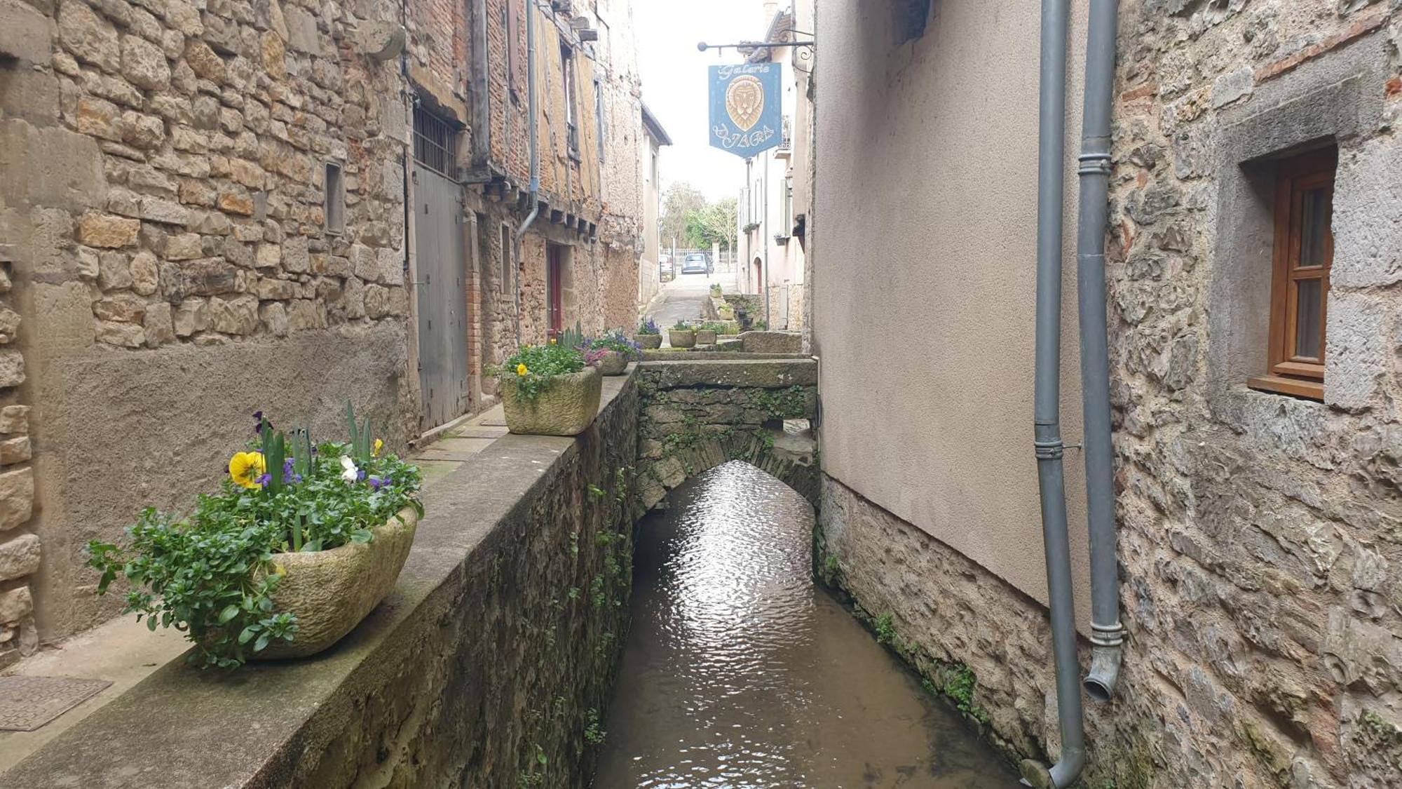 Puygaillard-de-Quercy Seuls En Pleine Nature - Gite La Cote Blanche מראה חיצוני תמונה