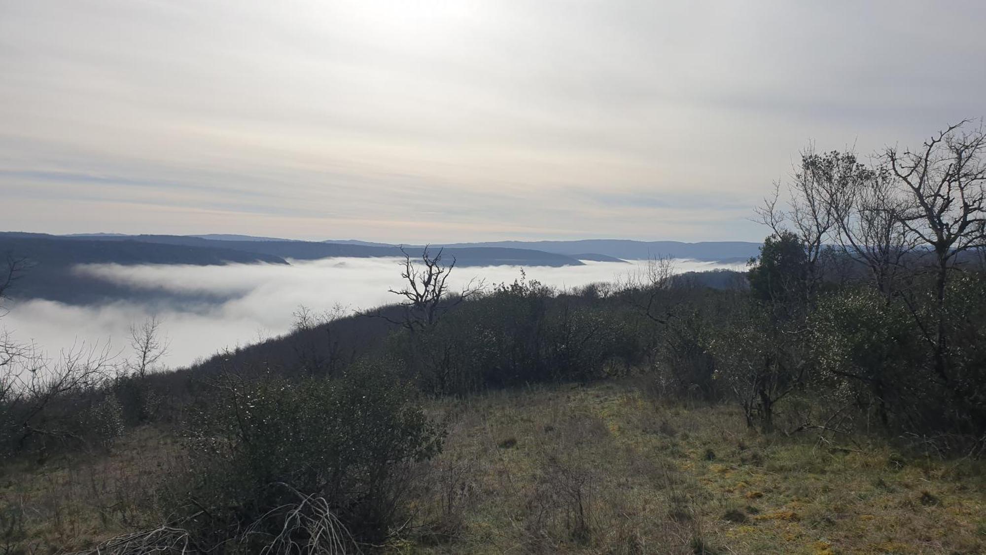 Puygaillard-de-Quercy Seuls En Pleine Nature - Gite La Cote Blanche מראה חיצוני תמונה
