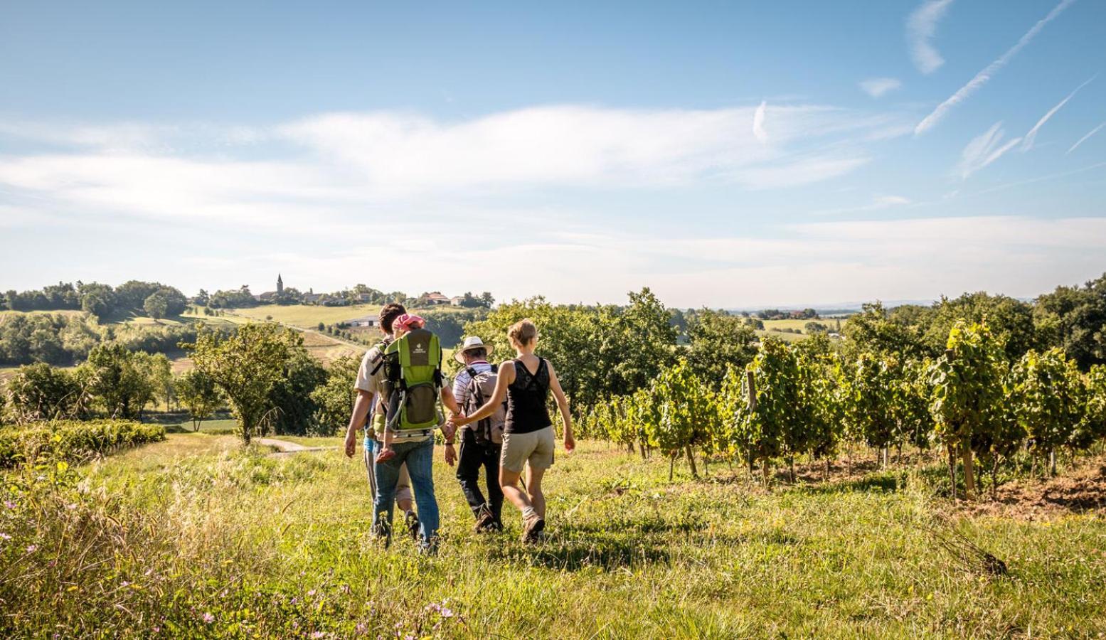 Puygaillard-de-Quercy Seuls En Pleine Nature - Gite La Cote Blanche מראה חיצוני תמונה
