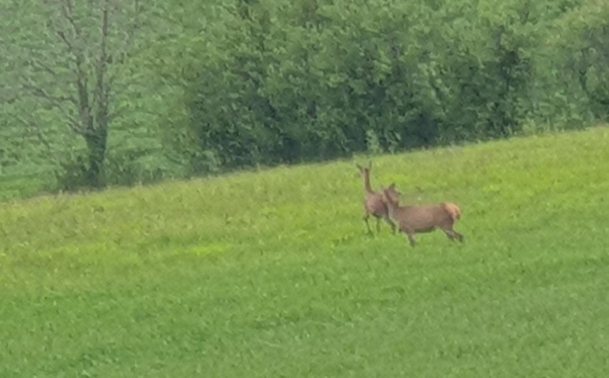 Puygaillard-de-Quercy Seuls En Pleine Nature - Gite La Cote Blanche מראה חיצוני תמונה