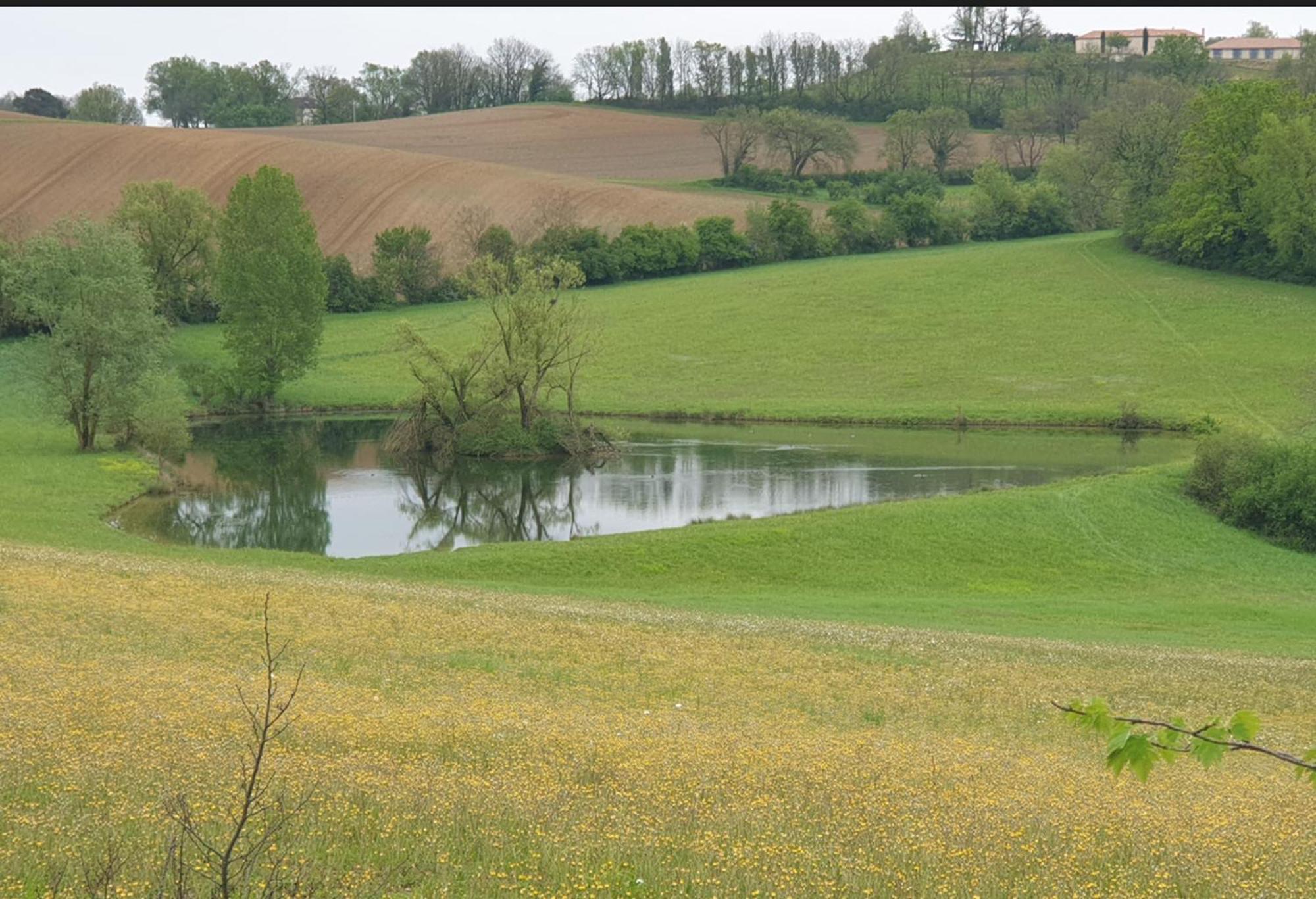 Puygaillard-de-Quercy Seuls En Pleine Nature - Gite La Cote Blanche מראה חיצוני תמונה