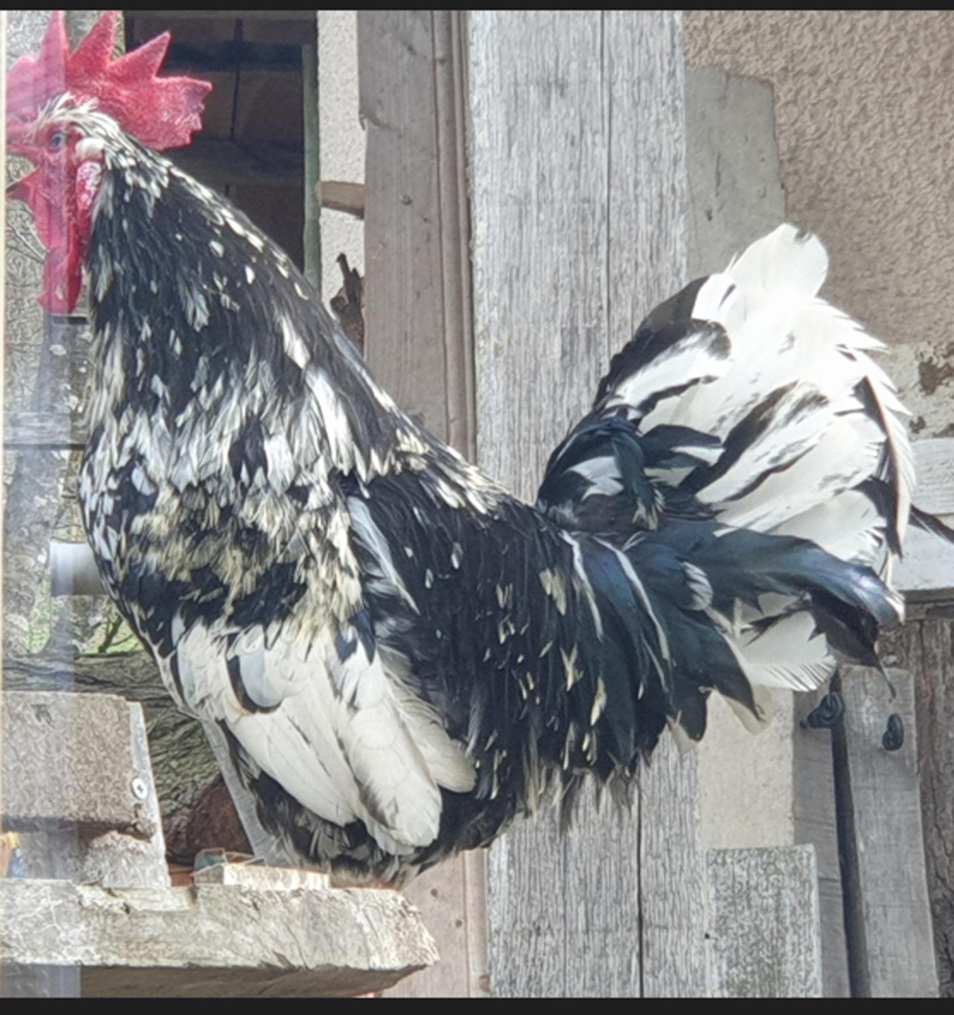 Puygaillard-de-Quercy Seuls En Pleine Nature - Gite La Cote Blanche מראה חיצוני תמונה